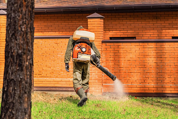 Trusted Bed Bug Control service in Pembroke, GA - Nex Pest Control
